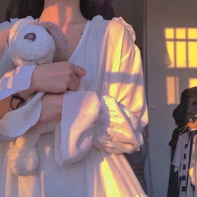 性感女特工2